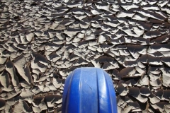 DSCN0704
