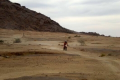 Algerien 20080690