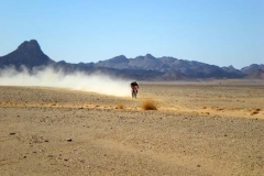 Algerien 20080764