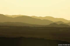 IMG_0234