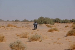 P1000409