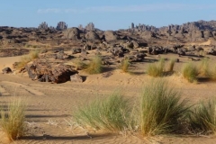P1000510