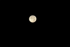 dsc_07834