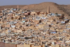 20111026-103856fwalter