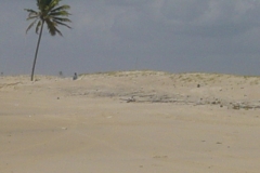 DSC00266