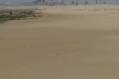 DSC00267