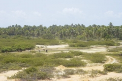 DSC00270