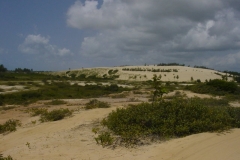DSC00271