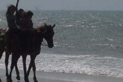 DSC00300