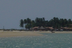 DSC00363