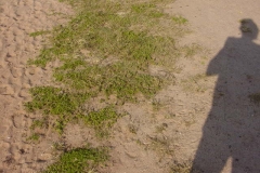 DSC00446