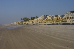 DSC00692