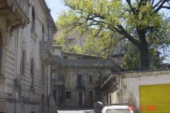 DSC01241