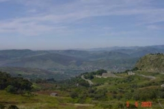 DSC01269
