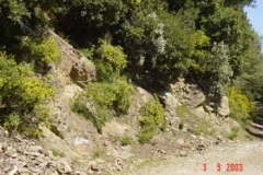 DSC01300