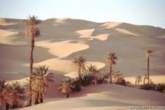 5001_NC