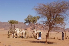 libyen_akakus_04_05_277