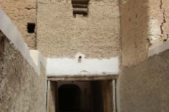 IMGP0041