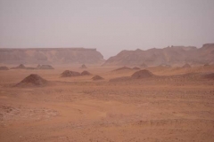 IMGP0078