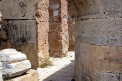 IMG_4729