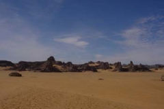 DSC00989