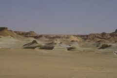 DSC01061