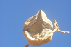 Pflanzen53