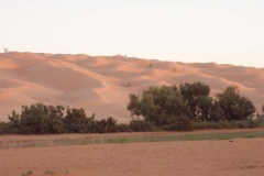 pb040094