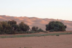 pb040097