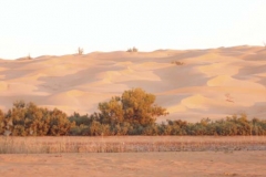 pb040107