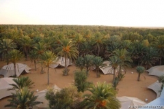 P1100920