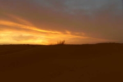 sam_1145