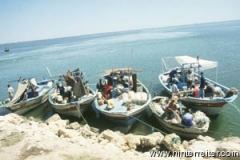 ttfischerbeidjerba