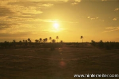 tttwusteundsonne